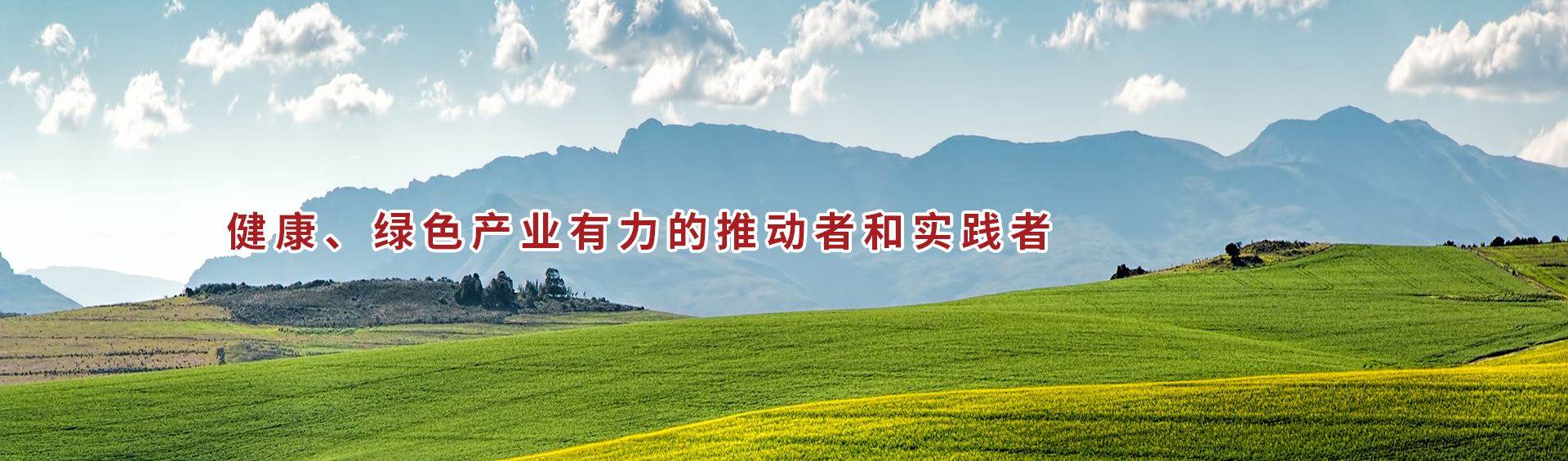 首页banner